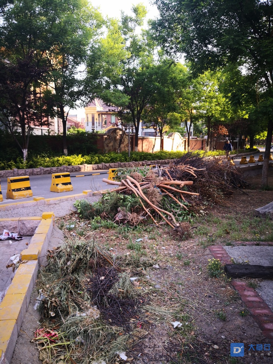 20190514_90269_1557792241536.jpg