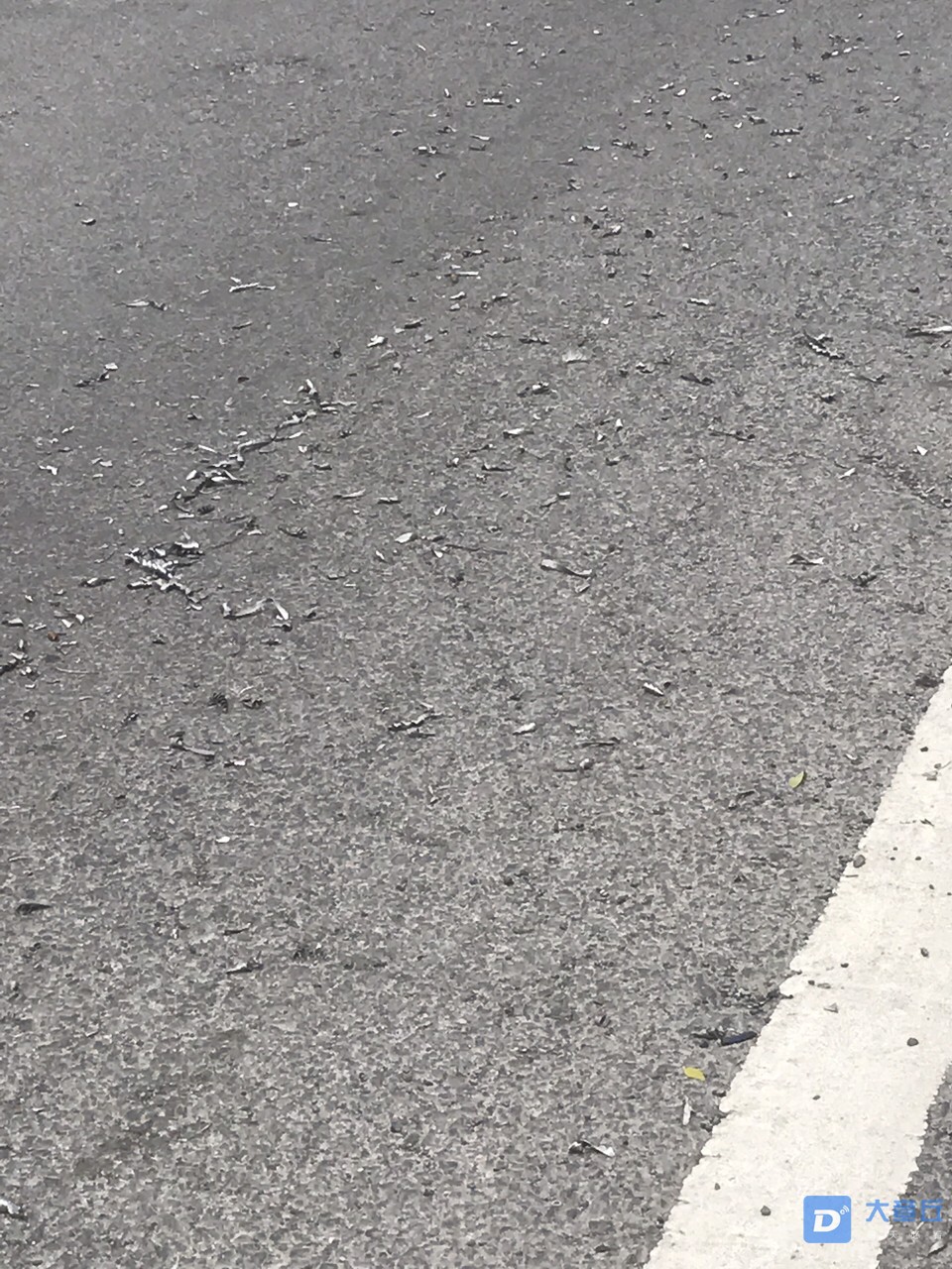 20190515153301557895616333801.jpg