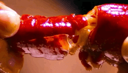 16.gif