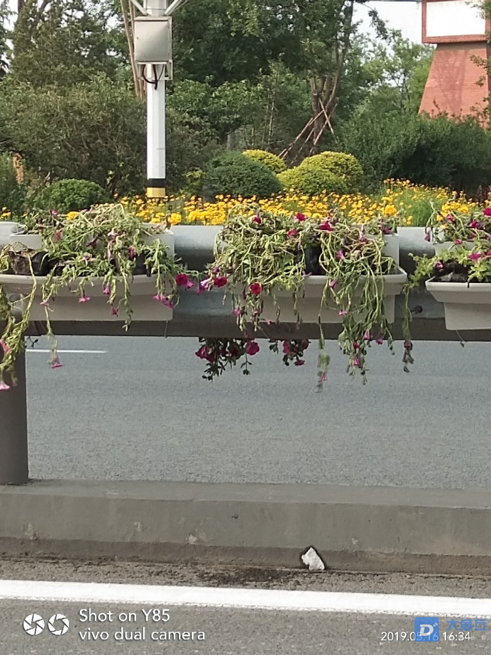 20190516_102565_1557995997194.jpg
