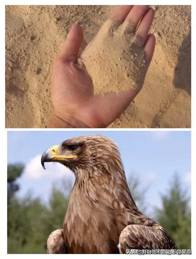20190516129491558011996823973.jpg