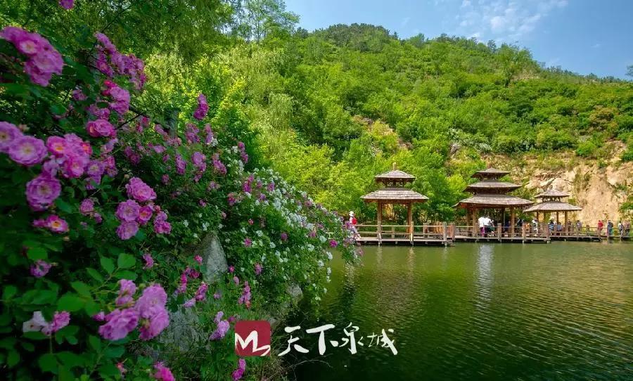 微信图片_20190518110622.jpg