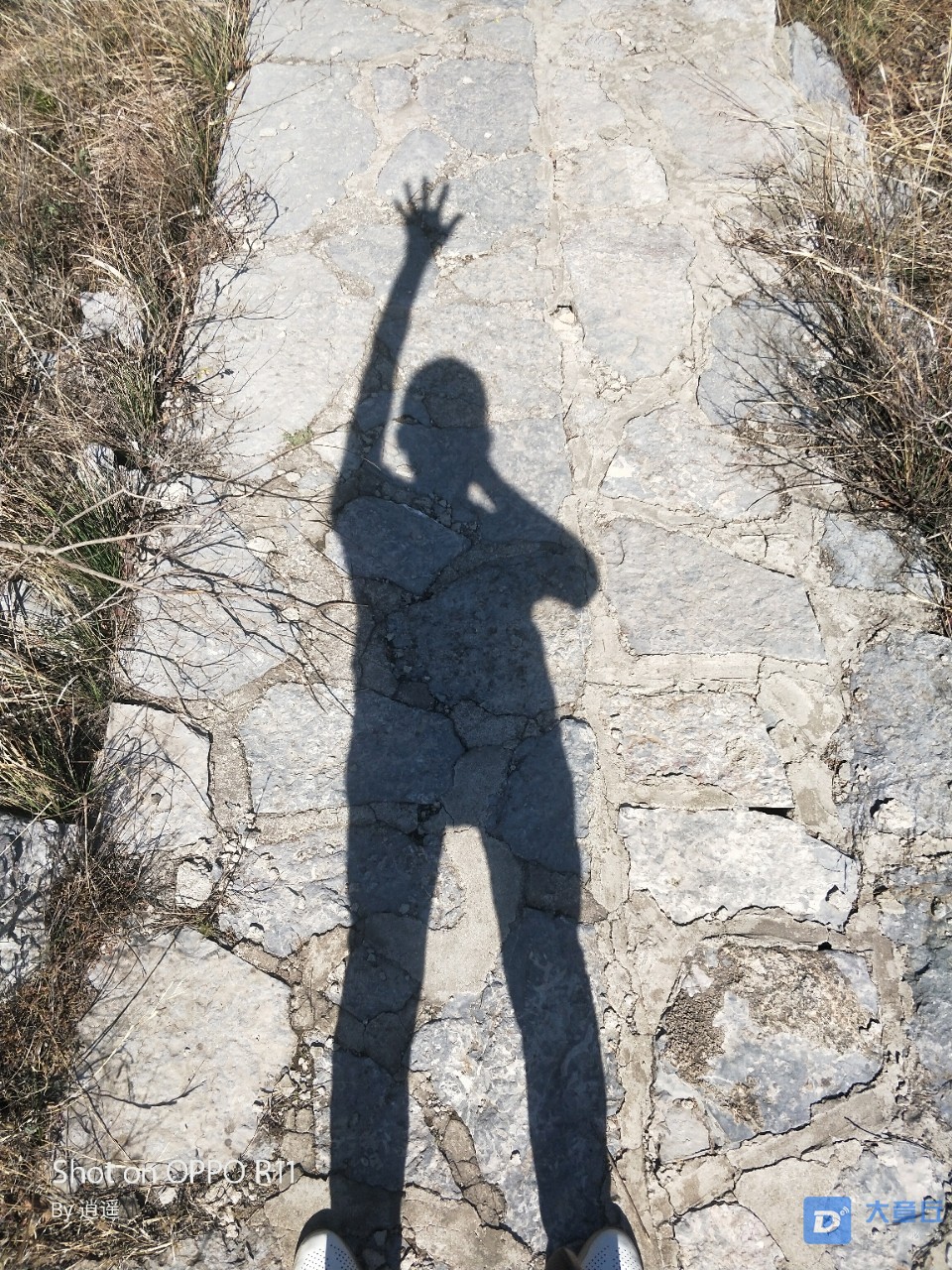 20190519_49336_1558223564484.jpg