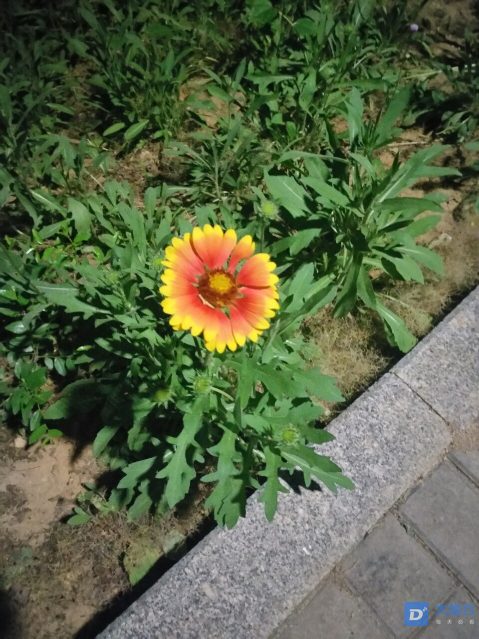 20190519_108742_1558271796188.jpg