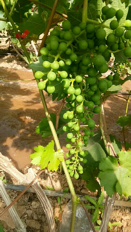 20190520_82230_1558357770035.jpg