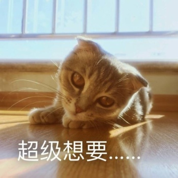 20170603125215_UvkVA.jpeg