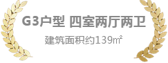 113.png