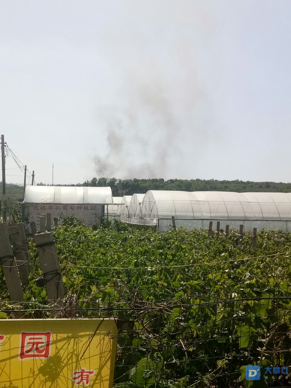 20190523_82230_1558593492822.jpg