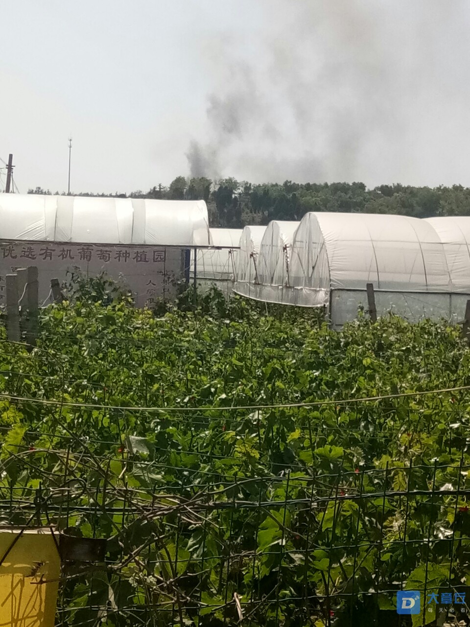 20190523_82230_1558593494317.jpg