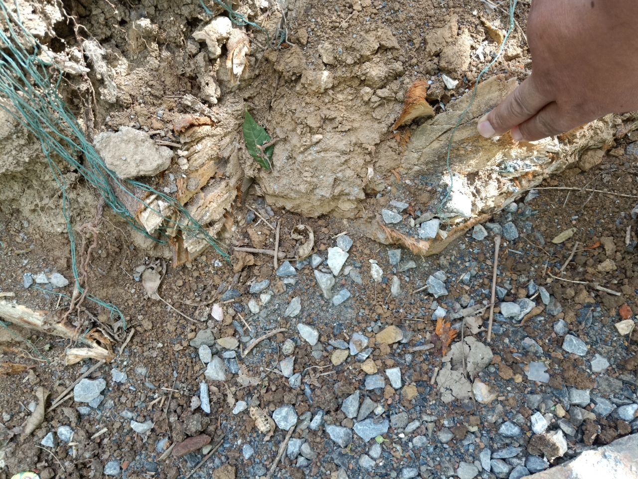 20190526_73085_1558833354217.jpg