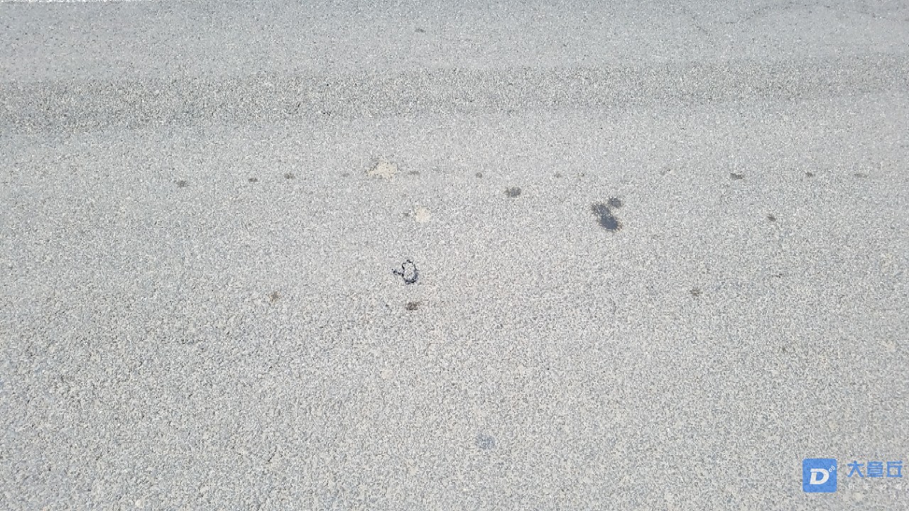 20190527_36351_1558929356655.jpg