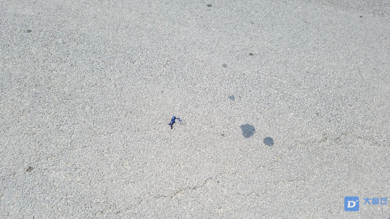 20190527_36351_1558929356162.jpg