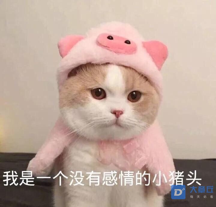 微信图片_20190527161926.jpg