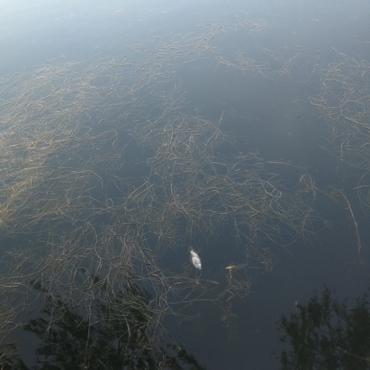 20190531_53693_1559262992217.jpg