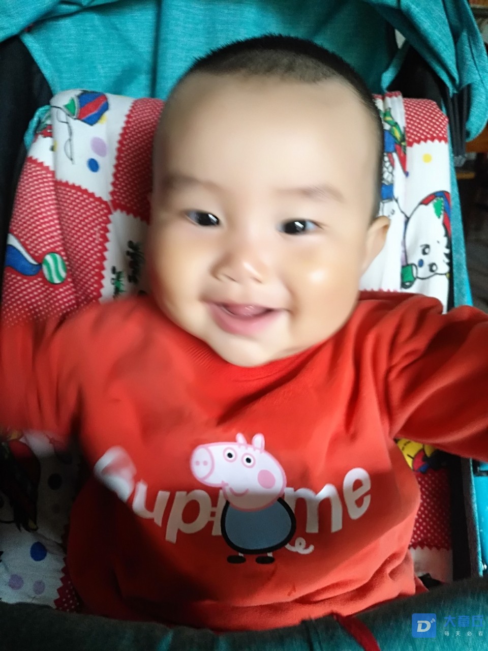 20190531_32125_1559269978048.jpg