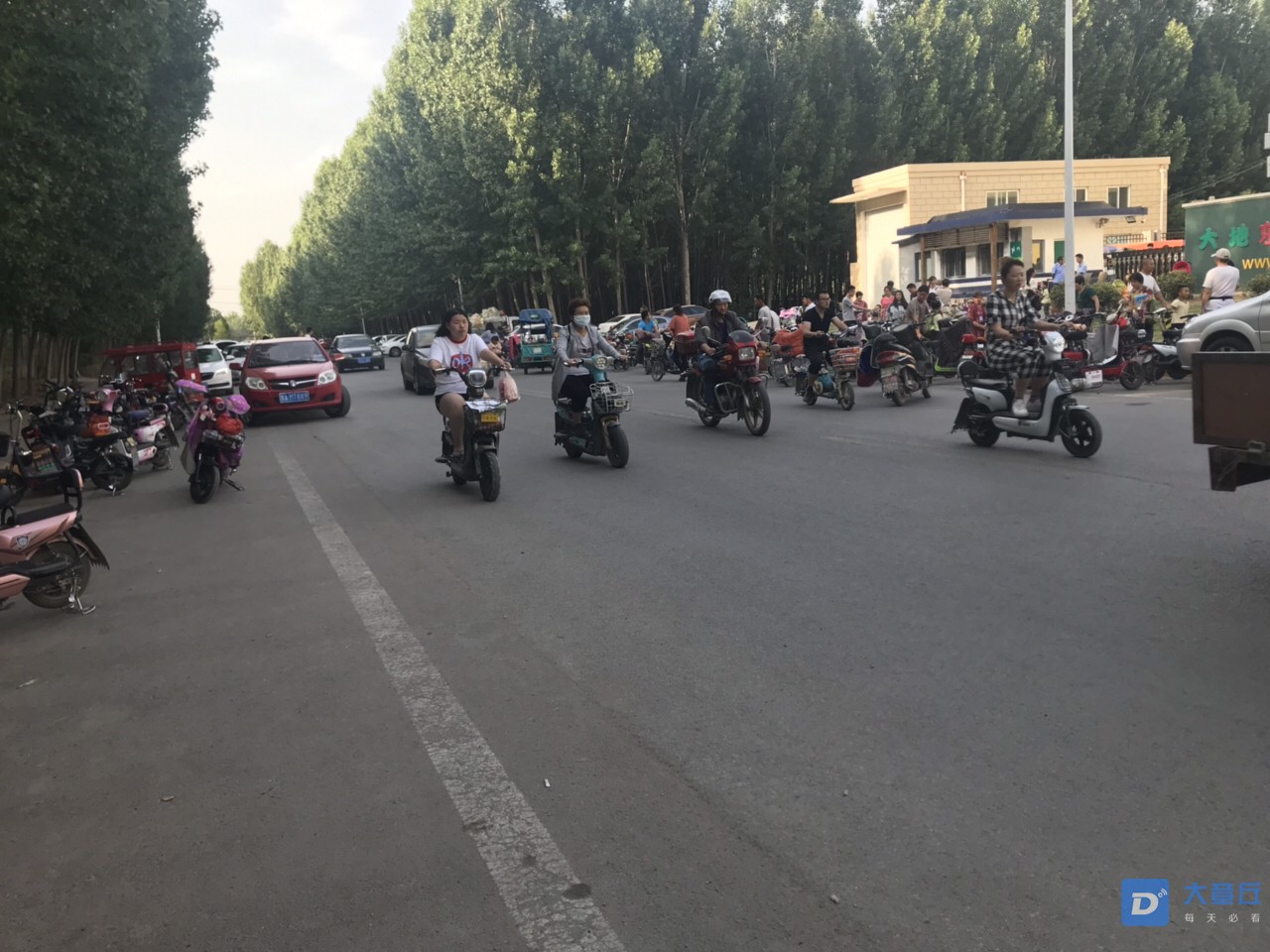 20190531289961559294203166157.jpg