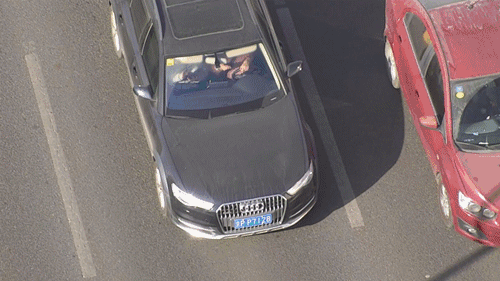 5.gif