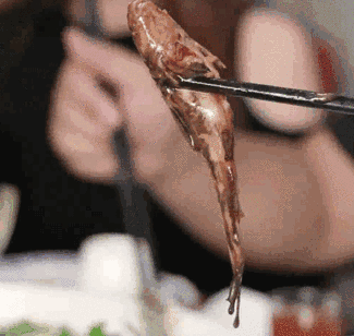 14.gif