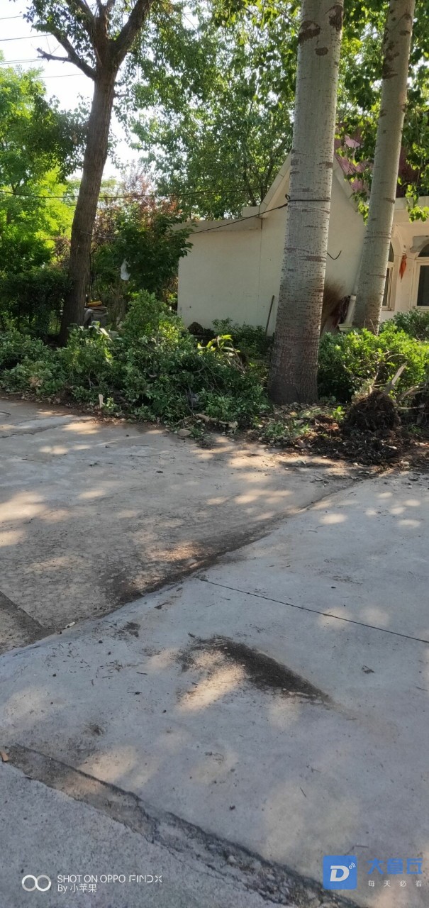 20190608_74012_1560006732721.jpg