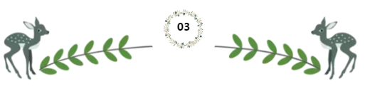 32.png