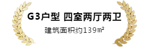 29.png