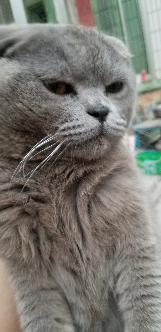 20190614_80097_1560488106969.jpg