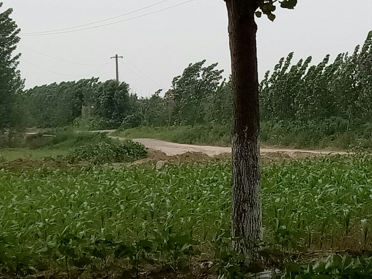20190614_99016_1560506989084.jpg