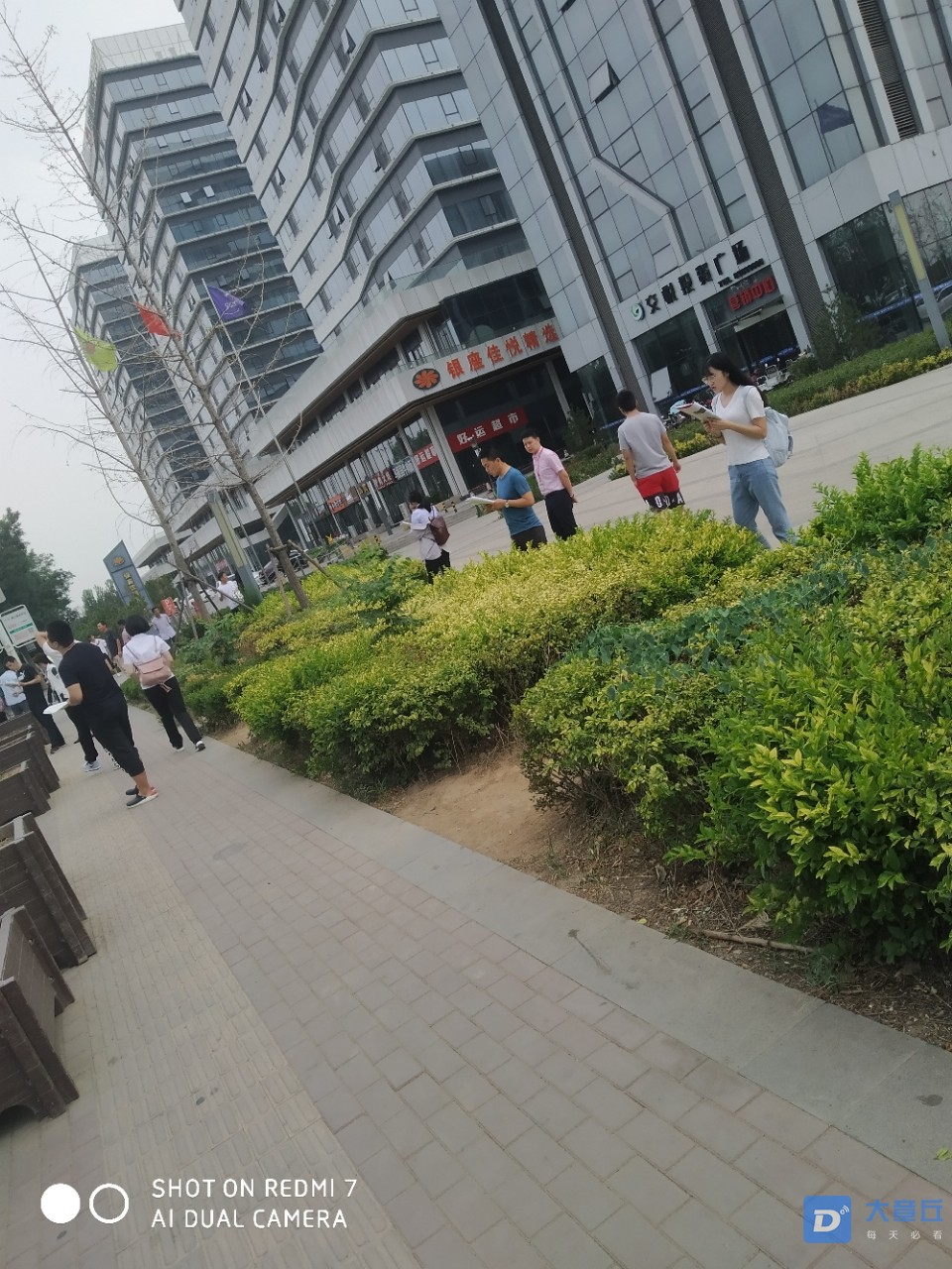 20190616_28893_1560697463539.jpg