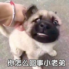 20190617_109555_1560735101461.jpg