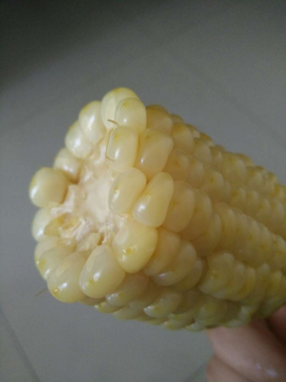 20190617_110623_1560735270816.jpg