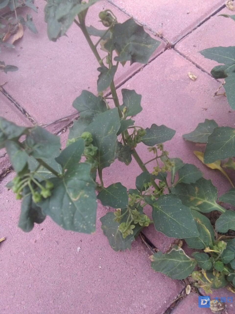 20190618_65794_1560830807409.jpg