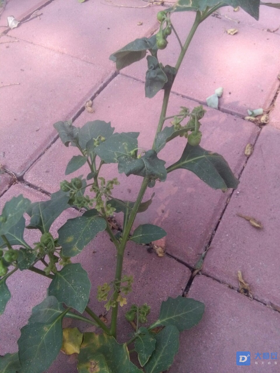 20190618_65794_1560830806165.jpg