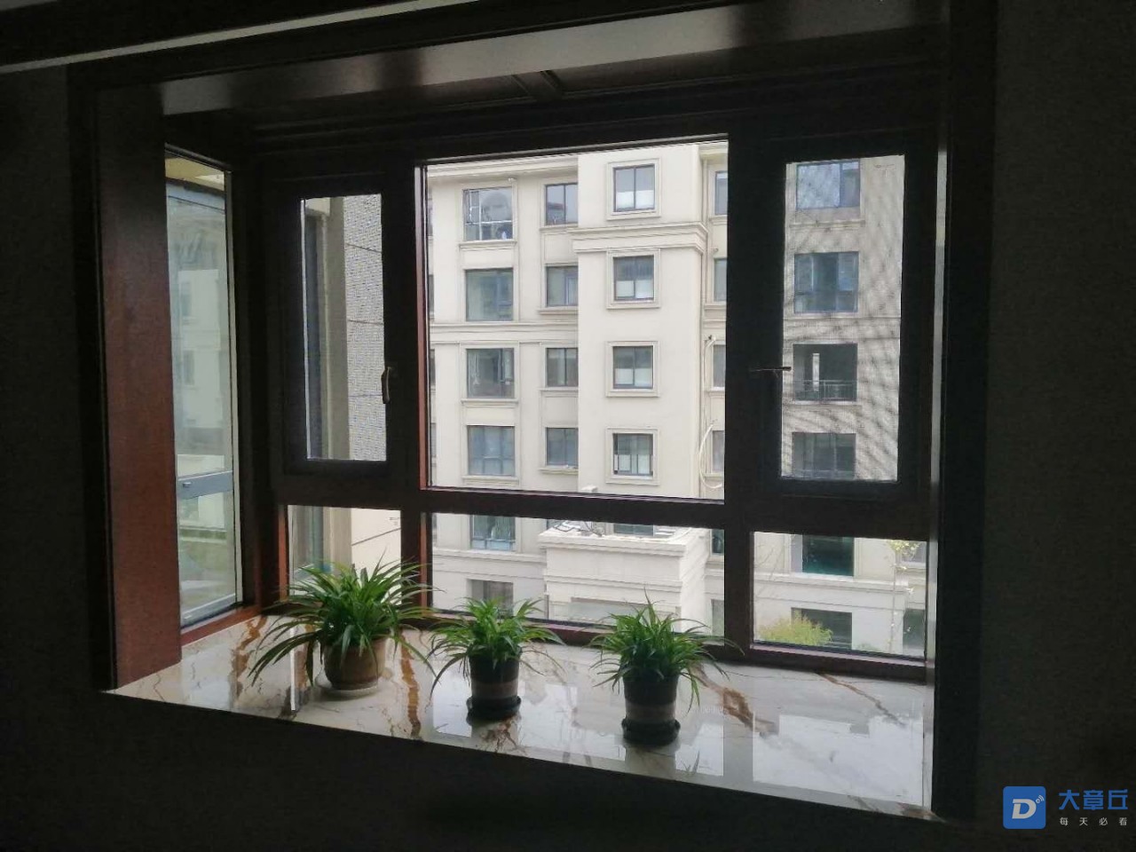 20190621_110083_1561128661810.jpg