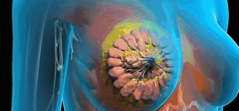 微信图片_20190622143441.gif