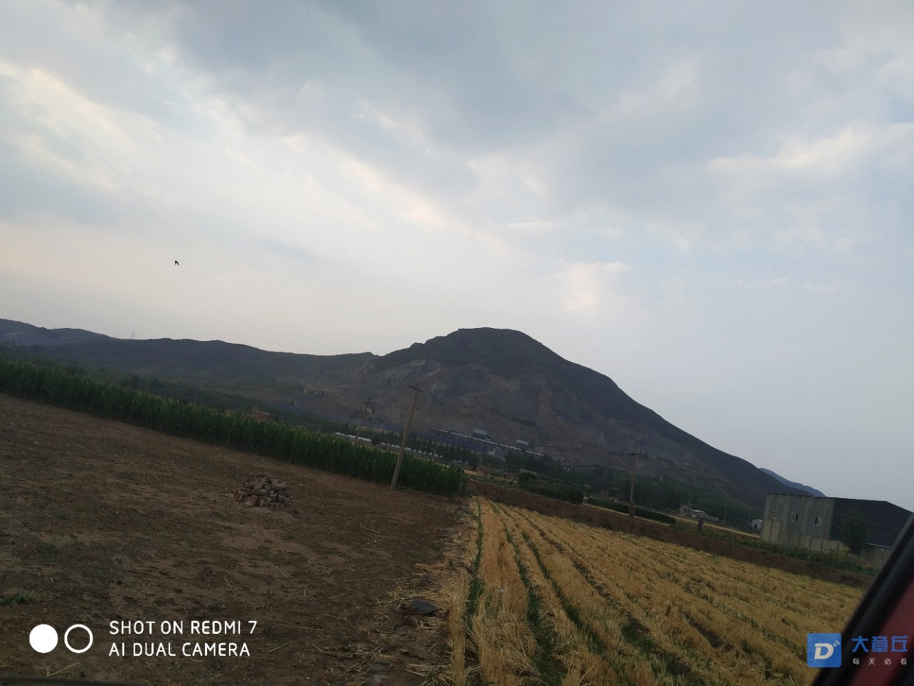 20190624_28893_1561388407761.jpg