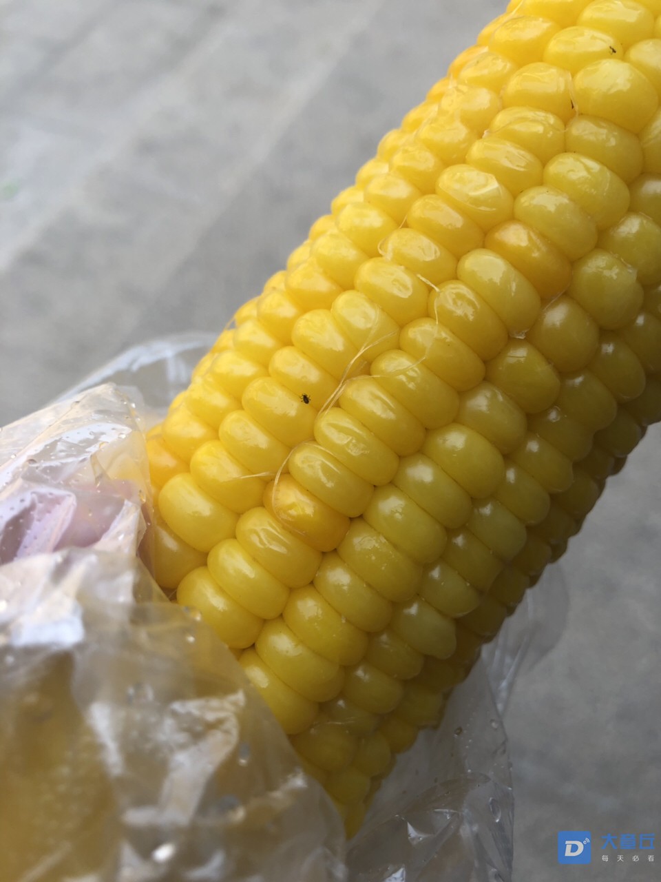 20190626136131561539922341388.jpg