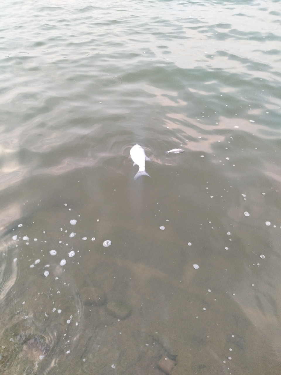 20190630_13852_1561893721717.jpg