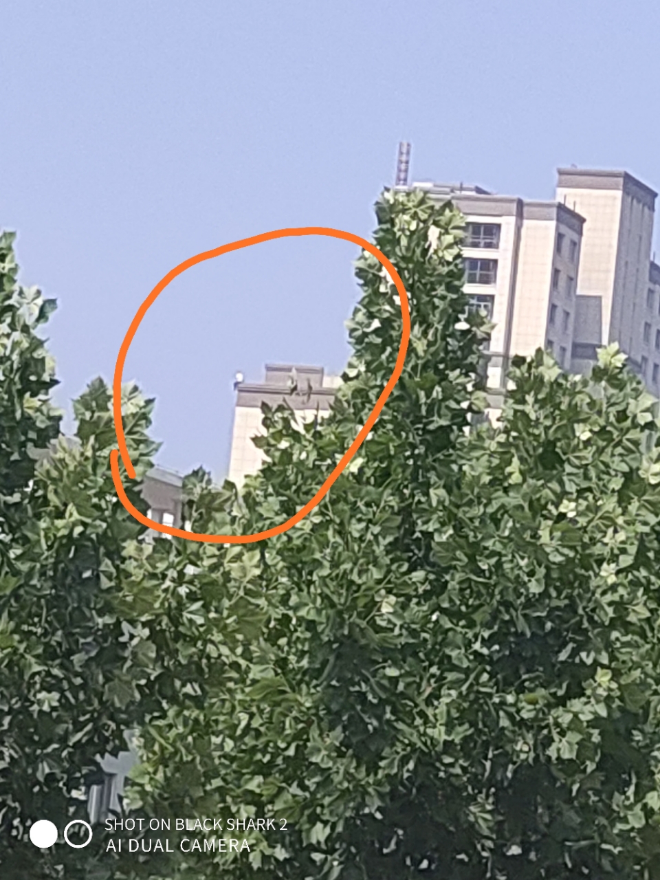 20190630_2324_1561900357177.jpg