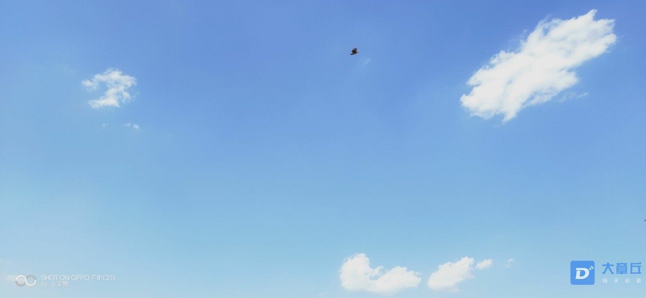 20190701_74012_1561977891341.jpg