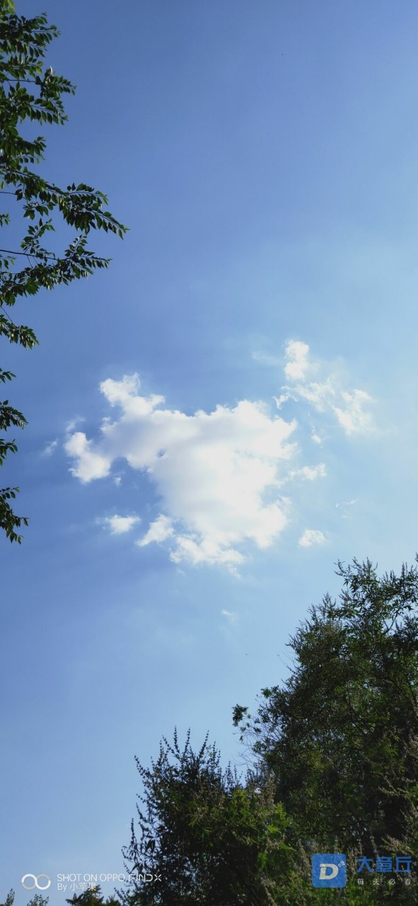 20190701_74012_1561977891782.jpg