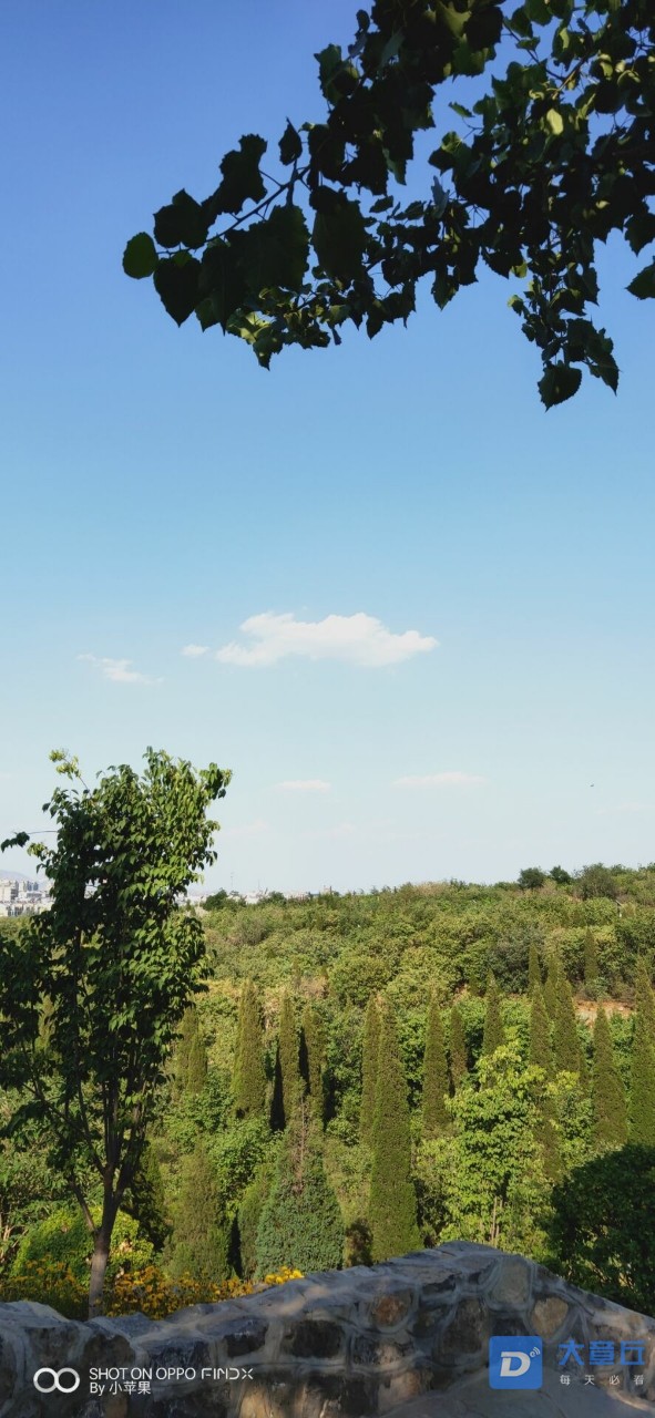 20190701_74012_1561977891944.jpg