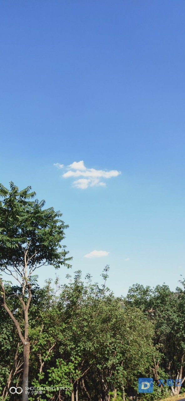 20190701_74012_1561977891624.jpg