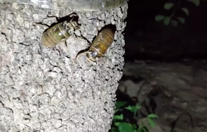 20190704_13380_1562248027811.png