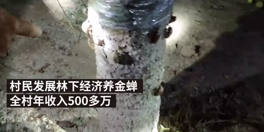 20190704_13380_1562248028878.png