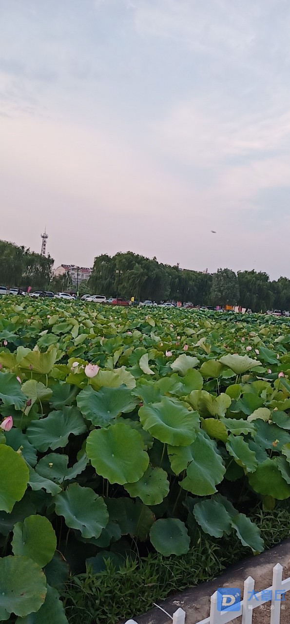 20190705_80909_1562316556888.jpg