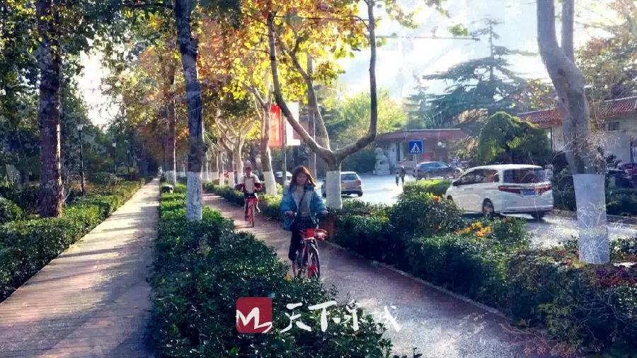 微信图片_20190706180931.jpg
