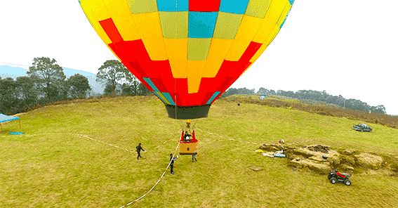 3.gif