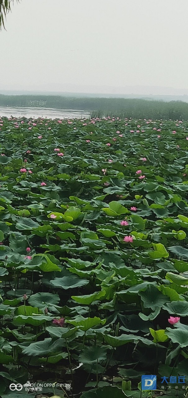 20190708_74012_1562566745488.jpg