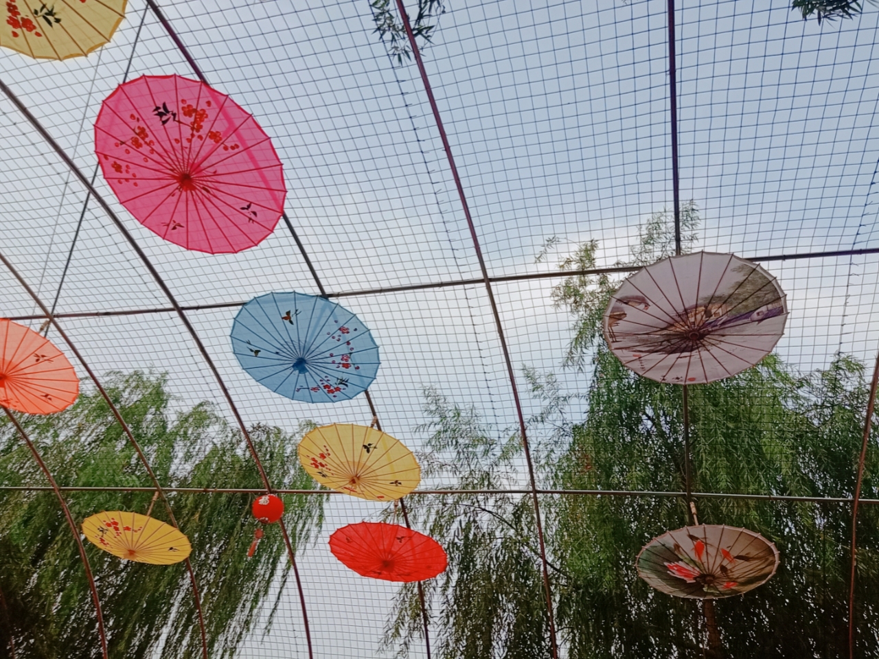 20190708_9051_1562594909427.jpg