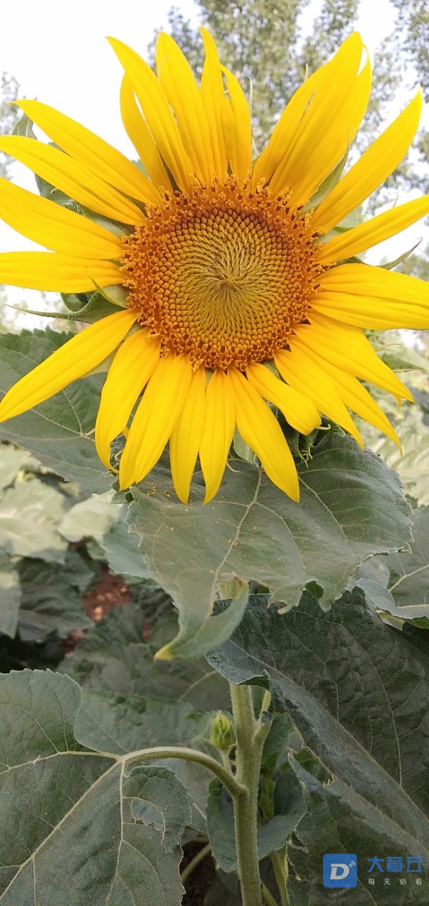 20190712_113761_1562945781245.jpg